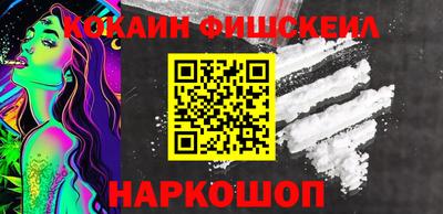 индика Кингисепп