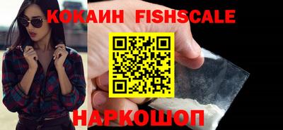 гашик Камышлов