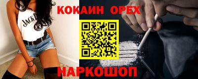гашик Камышлов