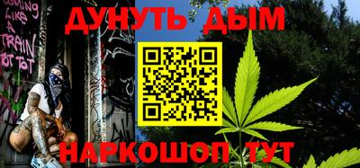 гашик Камышлов
