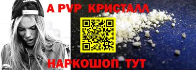 индика Кингисепп