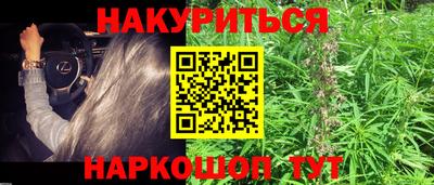 гашик Камышлов