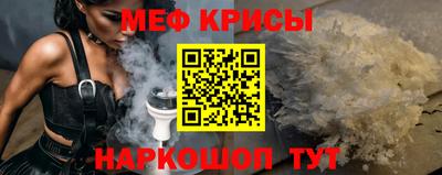 гашик Камышлов