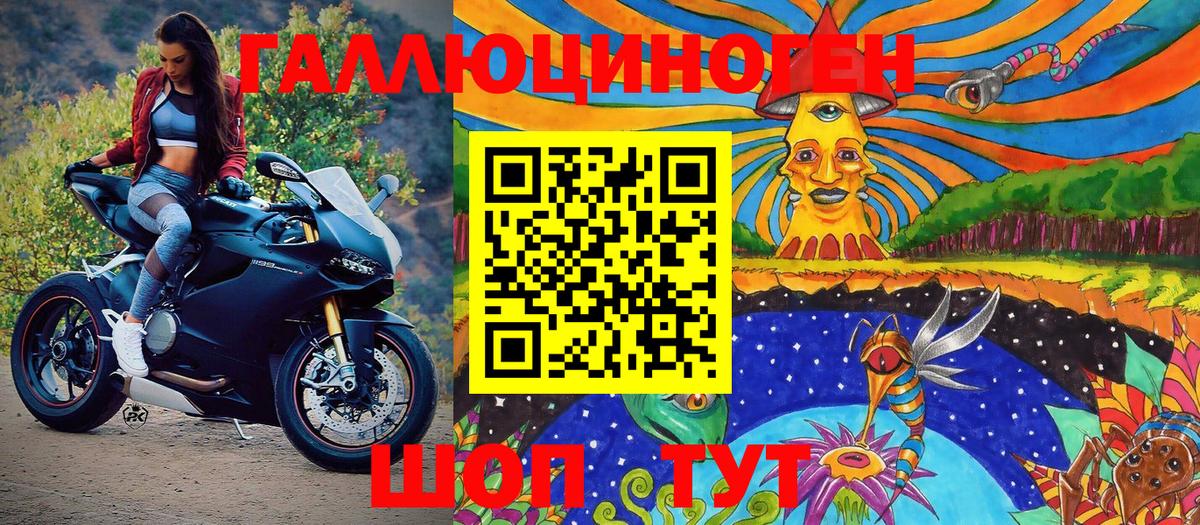 Галлюциногенные грибы Psilocybe Хасавюрт