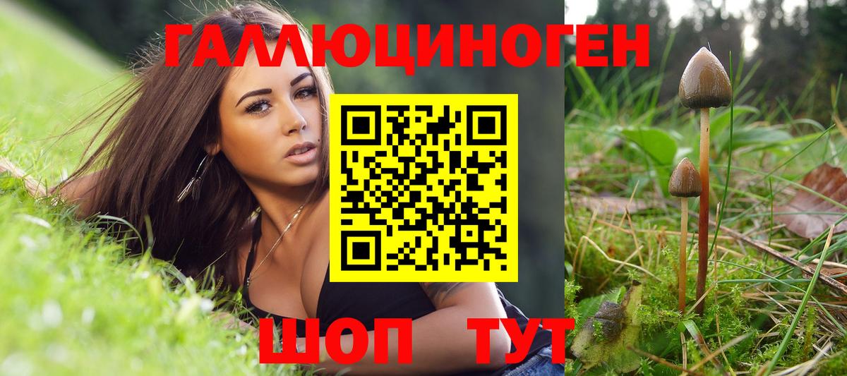 Псилоцибиновые грибы Psilocybe  Галлюциногенные грибы мухоморы  Хасавюрт  Вход с VPN 